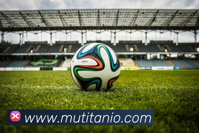 多彩内容专区